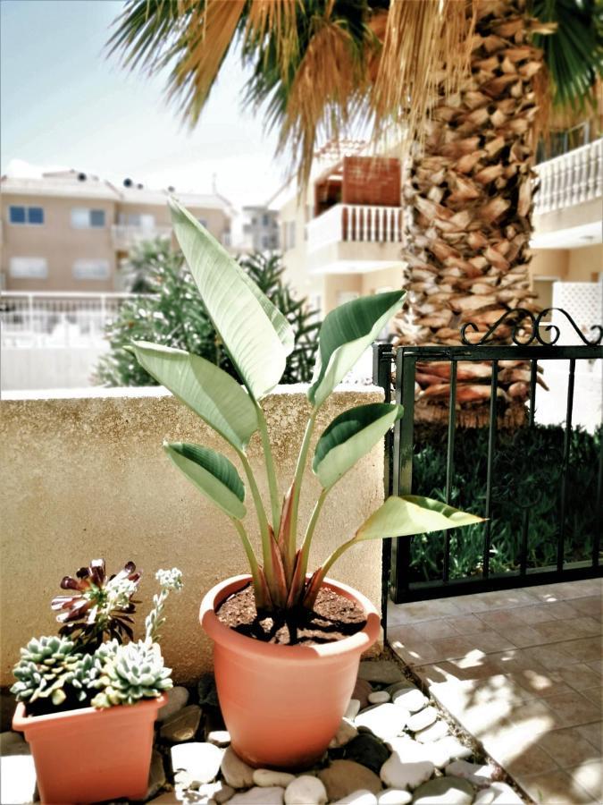 Walnut103 With Pool Apartament *